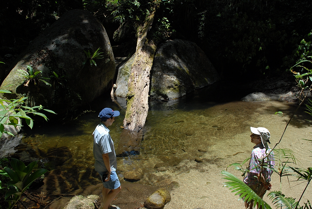 0991 Mossman Gorge.jpg